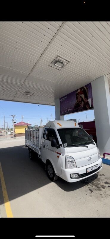 Жеңил жүк ташуучу унаа, Hyundai, Дубль
