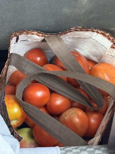 police za voce i povrce: Tomatoes from garden, 1 kg