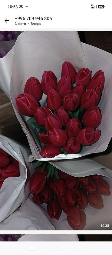 Букеты из живых цветов: Букеты из тюльпанов - Классические моно‑букеты и мини‑букеты в — 2