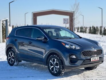 fit sport: Kia Sportage: 2020 г., 2.4 л, Автомат, Бензин, Кроссовер