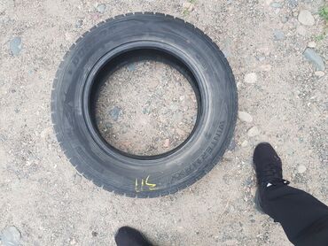 покрышка 205 65 15: Шины 195 / 65 / R 15, Зима, Б/у, Комплект, Легковые, Bridgestone