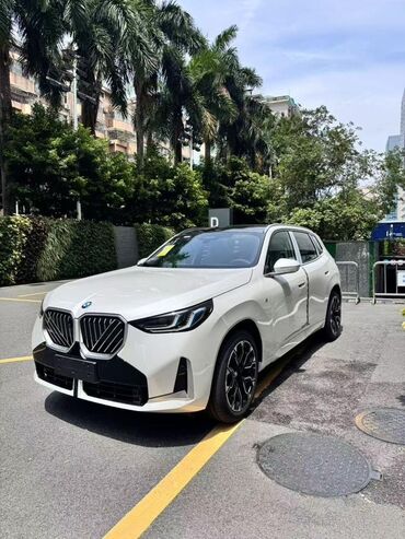 машина электирик: BMW X3: 2025 г., Электромобиль, Кроссовер
