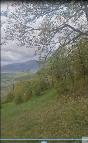 Torpaq sahələrinin satışı: 150 sot, Biznes üçün, Mülkiyyətçi, Kupça (Çıxarış) -da lalafo.az — 6 Torpaq sahələrinin satışı: 150 sot, Biznes üçün, Mülkiyyətçi, Kupça (Çıxarış) — 6