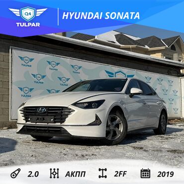 Hyundai: Hyundai Sonata: 2019 г., 2 л, Автомат, Газ, Седан