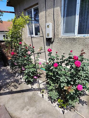 Продажа коттеджей и домов: 🏡 Продается дом с двумя домами на участке в селе Аламедин! Отличный — 1