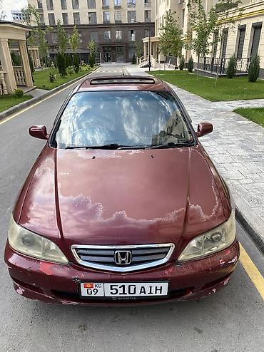 авто прод: Honda Accord: 2002 г., 2.3 л, Автомат, Бензин, Лифтбек — 3