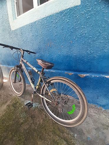 Городские велосипеды: Şəhər/dağ tipli velosiped - Rahmen: polad, 17" təxmini ölçü, klassik — 3