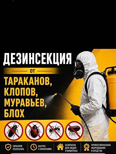 делать: Дезинфекция, дезинсекция, | Тараканы, | Квартиры — 1