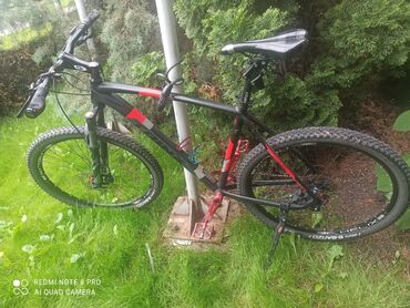 покрышки велосипед: Рама от trinx x1,(21 рама) вынос и руль карбоновый,обод и покрышки