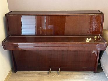 Клавишные инструменты: Petrof akustik pianino – dik model - Brend: Petrof (Çex istehsalı) — 4