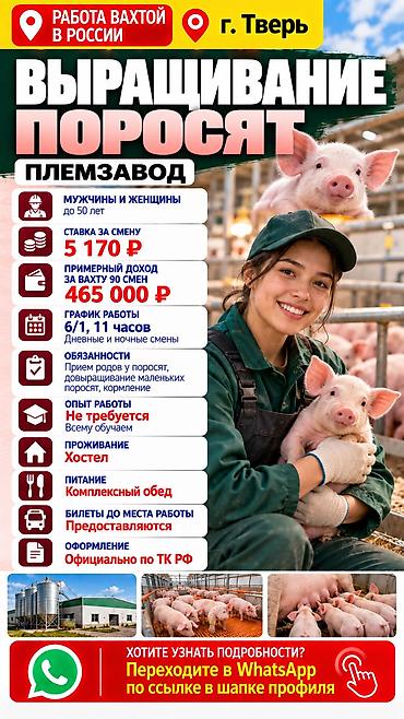 Грузчики: Грузчик — 7