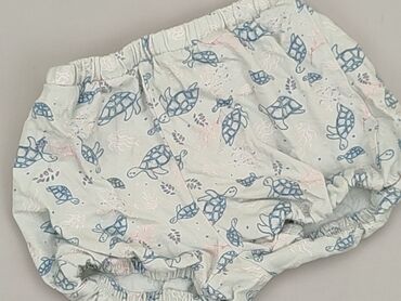 raso spodenki: Shorts, So cute, 2-3 years, 92/98, condition - Good