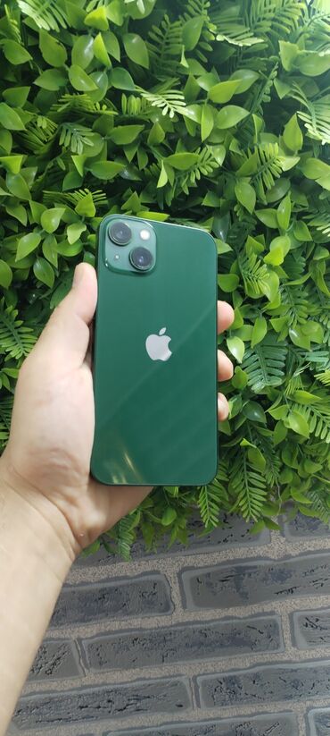 Apple iPhone: IPhone 13, 128 GB, Alpine Green, Face ID