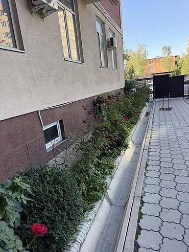 долгосрочная кв: 1 комната, Собственник, Без животных — 3
