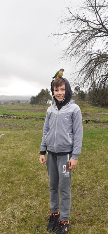 Oprema za kućne ljubimce: Povodci za papagaje – sigurnost, sloboda i poverenje u jednom! — 7