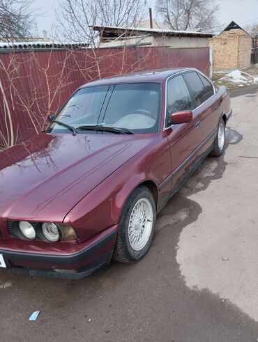 BMW: BMW 5 series: 1991 г., 3 л, Механика, Бензин, Седан