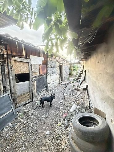 котедж слив: ЦЕНА ДОГОВОРНАЯ УСТУПИМ В ЦЕНЕ ЗВОНИТЕ /Дом с участком. Одноэтажный — 5