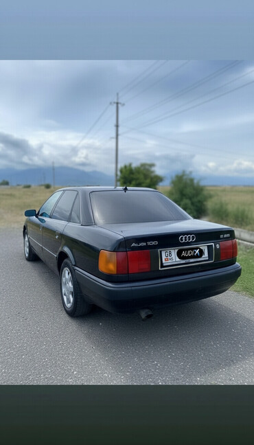 Audi: Audi 100: 1992 г., 2.3 л, Механика, Бензин, Седан — 2