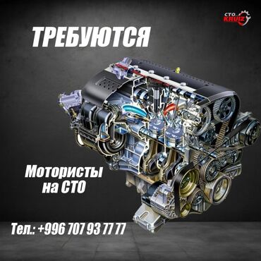 прерывание беременности: Талап кылынат Унаа механиги - Моторчу, Кирешеден пайыз, Тажрыйбасы 5 жылдан жогору