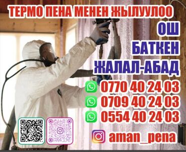 проек дом: | Пенополиуретан Больше 6 лет опыта
