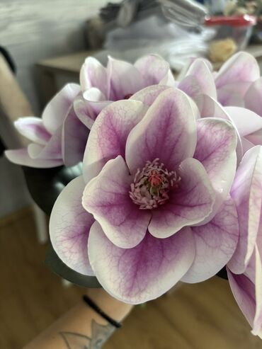 Ruža: Buket svilenih dekorativnih ruža – više varijanti.Ukoliko kupite vise na lalafo.rs — 21 Ruža: Buket svilenih dekorativnih ruža – više varijanti.Ukoliko kupite vise — 21