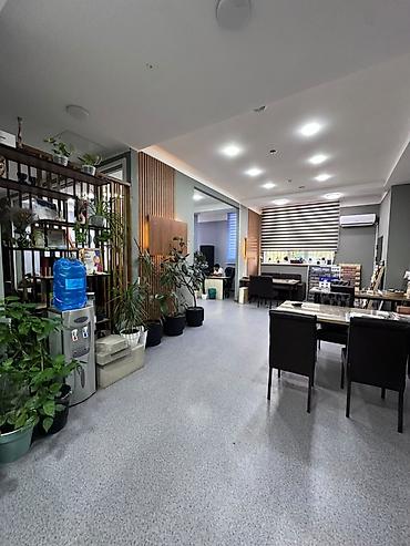 red centr: Продажа офисов 252 м², С ремонтом, Многоэтажное здание, 1 этаж — 1