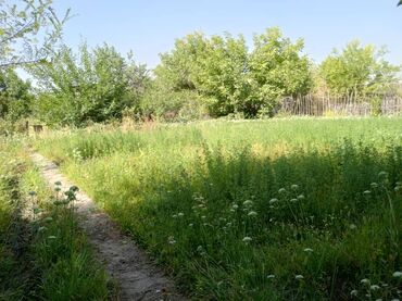 дом институт земледелия: 5 соток, Для сельского хозяйства