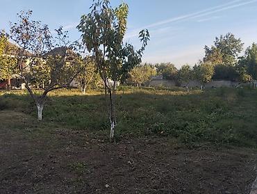 ləhis baglari ev satilir: 4 otaqlı, 2000 kv. m, Orta təmir — 1