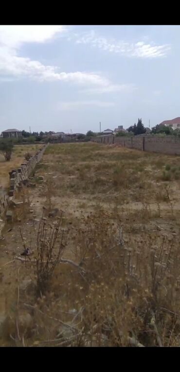12 sot, Makler, Kupça (Çıxarış)