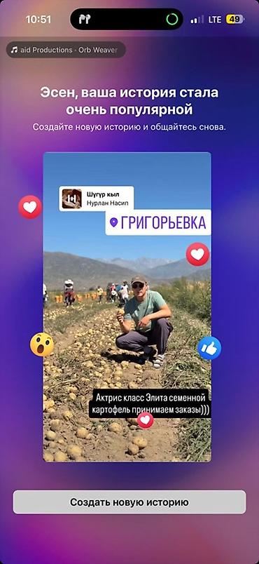 для картошки: Картошка — 1