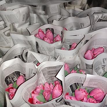 Букеты из живых цветов: Открыта бронь на тюльпаны оптом и розницу 2026 года к 8 марта — 4