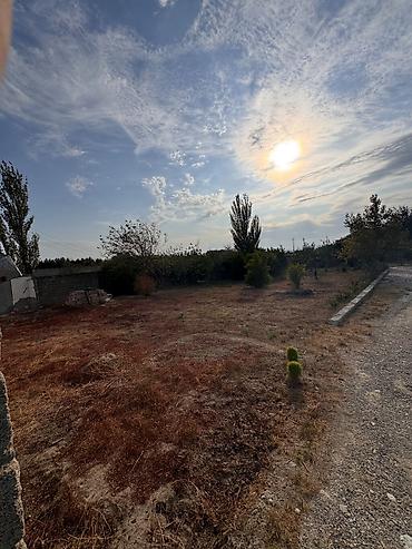 4 sot, Mülkiyyətçi, Kupça (Çıxarış) lalafo.az -da 4 sot, Mülkiyyətçi, Kupça (Çıxarış)