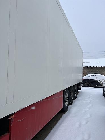 Тягачи: Тягач, DAF, 2008 г., Без прицепа — 4