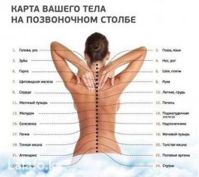 масаж апарат: 1	История возникновения массажа 2	Виды массажа и его классификация