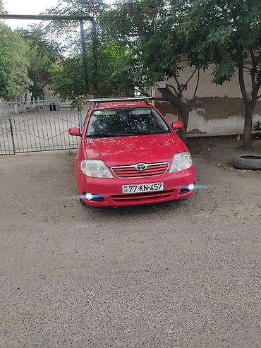 Toyota: Toyota Corolla: 1.4 l | 2004 il Universal — 16