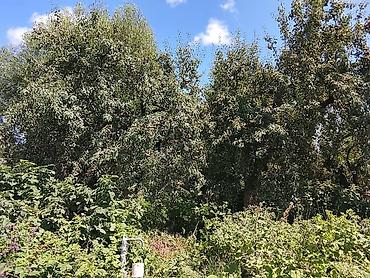 haunted mound: ПИСАТЬ НА СЧЕТ ПОЛНОЙ ИНФОРМАЦИИ НА НОМЕР 12 соток Дом с пристройкой — 6