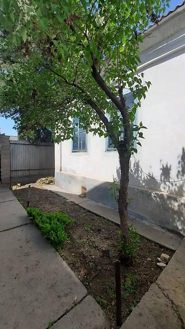 Продажа коттеджей и домов: Продается!!! Дом, в районе Аламединского рынка S -64,52м2. В доме зал — 13