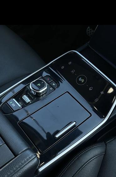 Weltmeister: Weltmeister EX5, 2020 г., Передний — 5