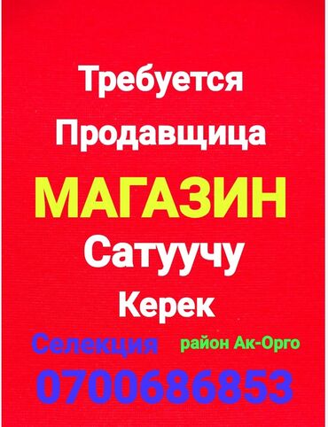 Продавцы-консультанты: Продавец-консультант