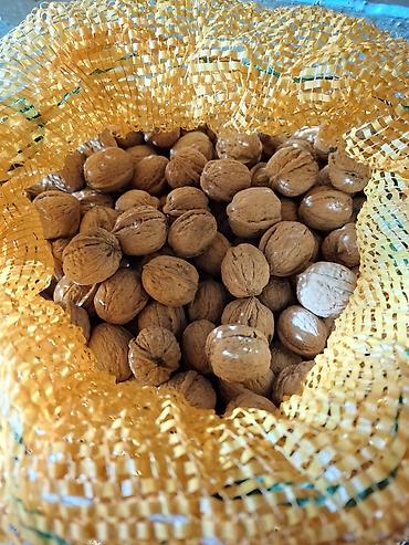 продам яйца: Продам грецкие орехи, 100 кг. Все вопросы - по телефону. Город — 1