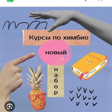 курсы в оше: Представляем курсы по химии и биологии, разработанные для углубленного