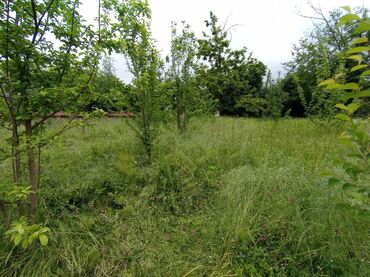 Torpaq sahələrinin satışı: 6 sot, Tikinti, Barter mümkündür, Kupça (Çıxarış) -da lalafo.az — 5 Torpaq sahələrinin satışı: 6 sot, Tikinti, Barter mümkündür, Kupça (Çıxarış) — 5
