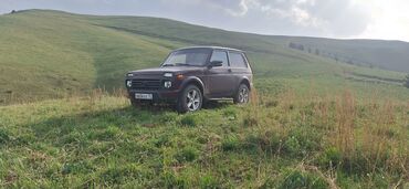 генезис машина: ВАЗ (ЛАДА) 4x4 Нива: 2009 г., 1.7 л, Механика, Бензин, Внедорожник