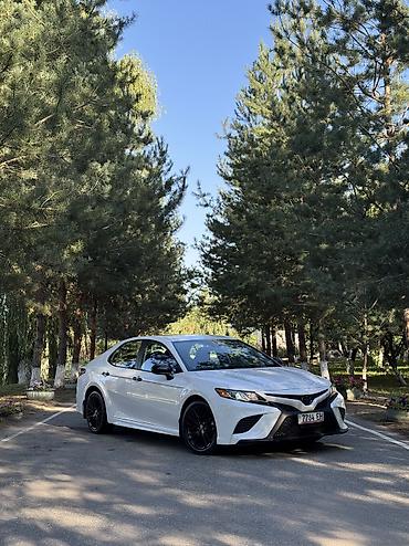 Toyota: Toyota Camry: 2020 г., 2.5 л, Автомат, Бензин, Седан — 1