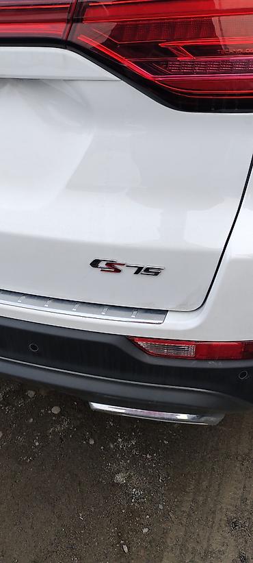 Changan: Changan CS55 Plus: 2025 г., 1.5 л, Автомат, Бензин, Кроссовер — 9