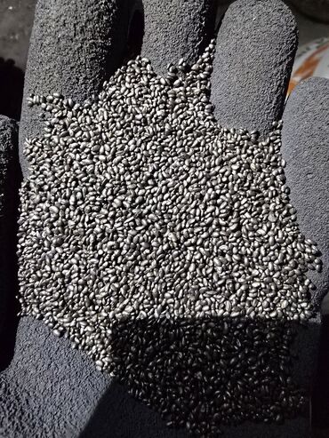 Кормовые растения: Семена кормовых растений: Эспарцет, Самовывоз, Платная доставка — 6