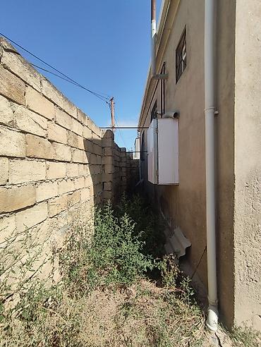 Продажа домов: Həyət evi satılır. Ev Saray qəsəbəsində yerləşir — 4