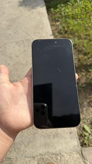IPhone 14 Pro Max, Б/у, 256 ГБ, Desert Titanium, Чехол, 73 %