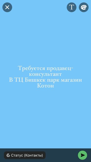 кут парк: Продавец-консультант. Бишкек Парк ТРЦ