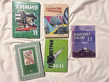книга химия: Кыргызская литература, 11 класс, Новый — 1